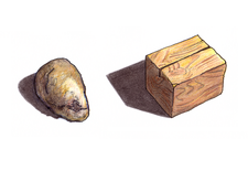 Speichert ein Stück Holz oder ein Stein Wärme besser?